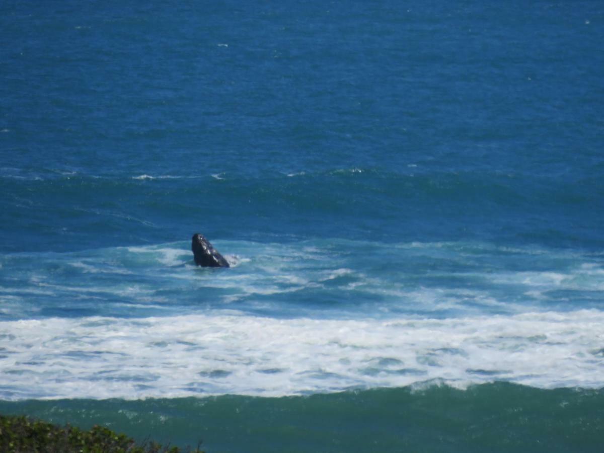 Troon Beach Cottage Hermanus Exterior foto