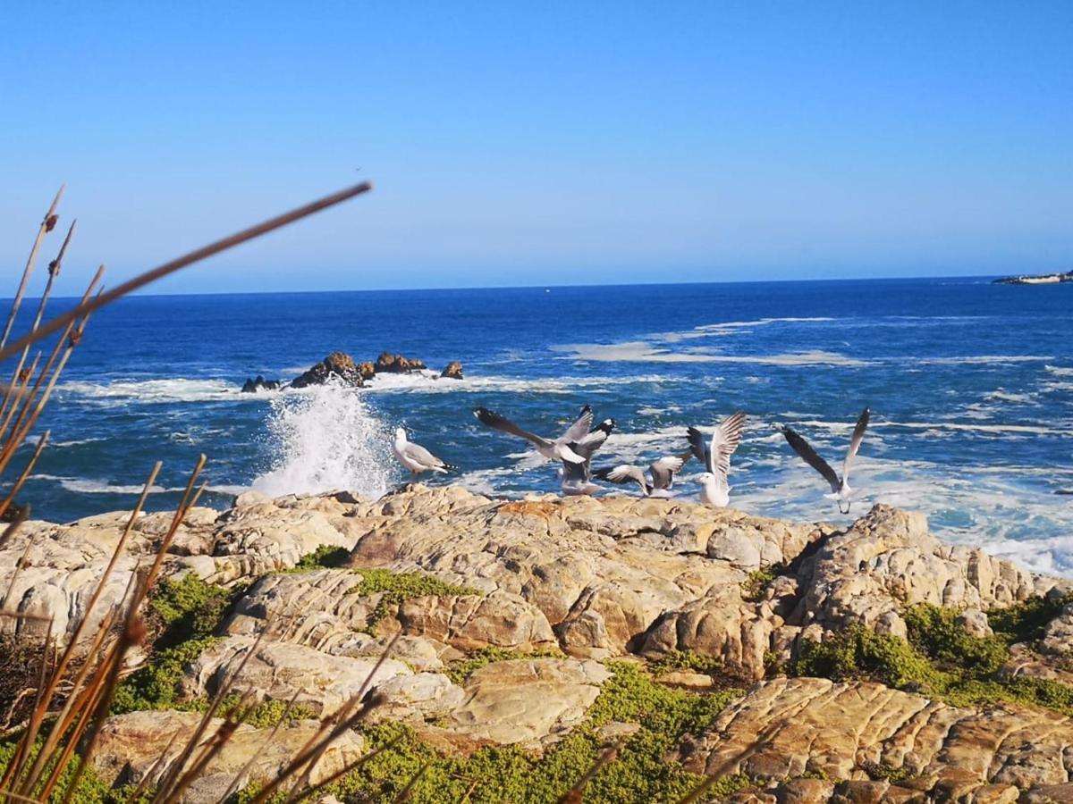 Troon Beach Cottage Hermanus Exterior foto